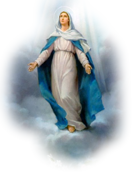 Our Lady standing upon the clouds, her arms open and rays of grace falling from her hands.